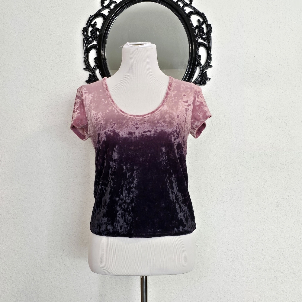 American Eagle Ombre Velvet Tshirt